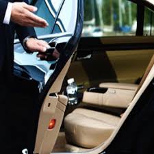özel şöför
